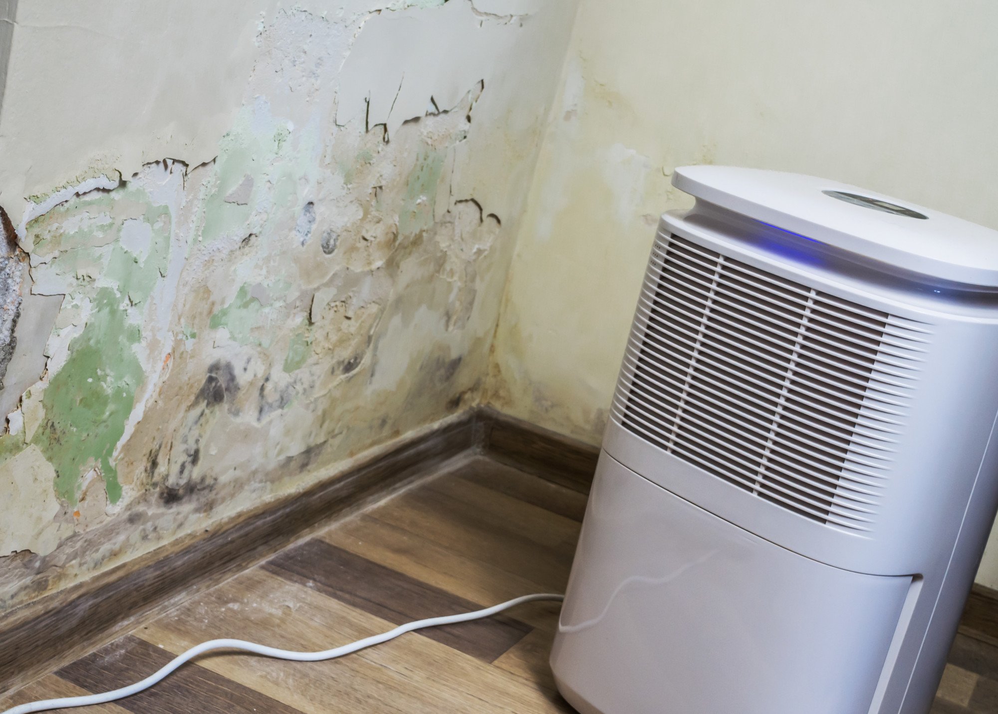 Humidity control